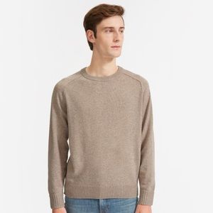 Everlane The ReCashmere Crew NWT